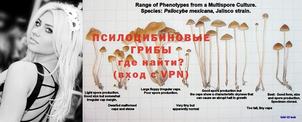 гашик Белоозёрский